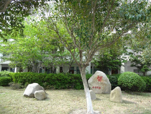 校园环境